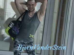 BjornVanderStein