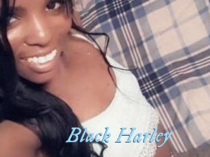 Black_Harley