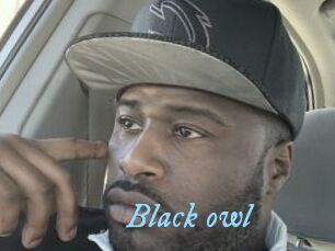 Black_owl