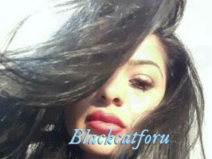 Blackcatforu