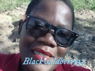 Blackwildberry33