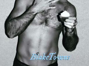 BlakeTowns