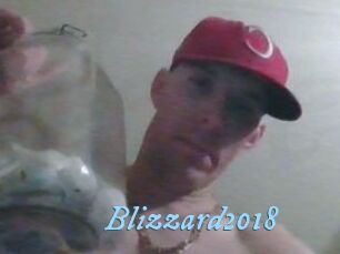 Blizzard2018