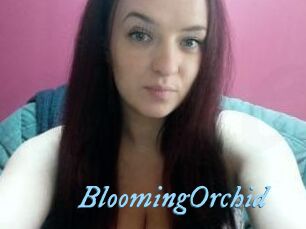 BloomingOrchid