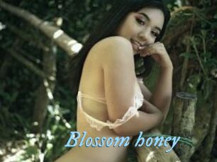 Blossom_honey