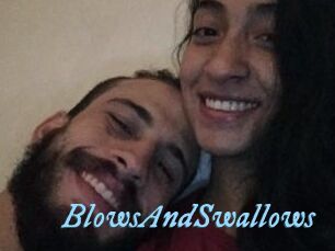BlowsAndSwallows