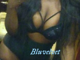 Bluvelvet