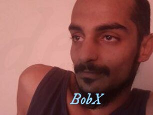 BobX