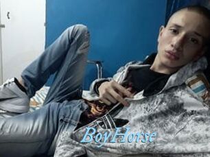 BoyHorse