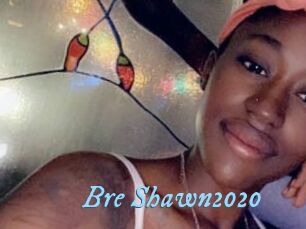 Bre_Shawn2020