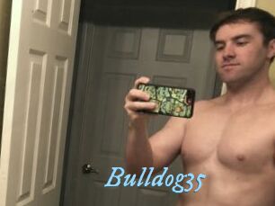 Bulldog35