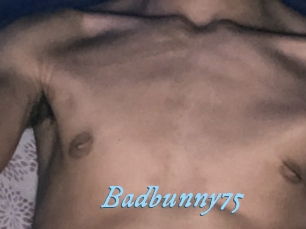 Badbunny75