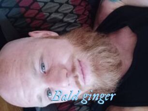 Bald_ginger