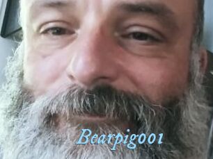 Bearpig001