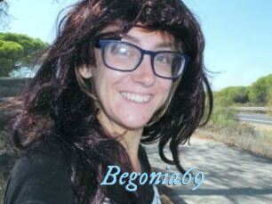 Begonia69