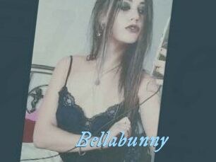 Bella_bunny