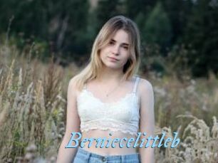 Berniecelittleb