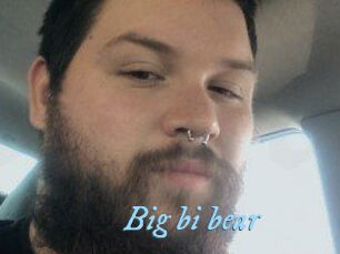 Big_bi_bear
