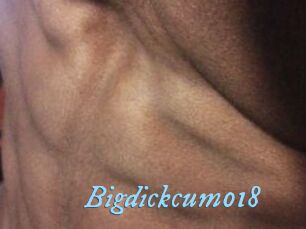 Bigdickcum018