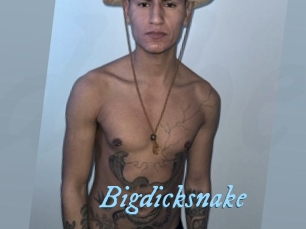 bigdicksnake DeriheruI