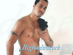 Bigloadnncock