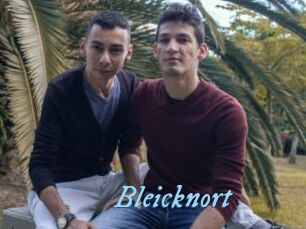 Bleicknort