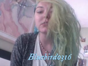Bluebird0316