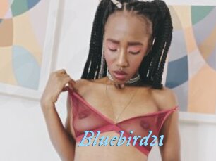 Bluebird21