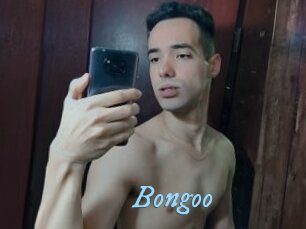 Bongoo