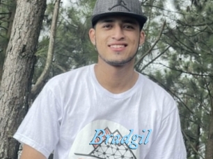 Bradgil