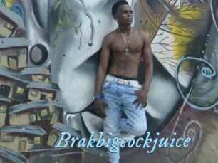 Brakbigcockjuice