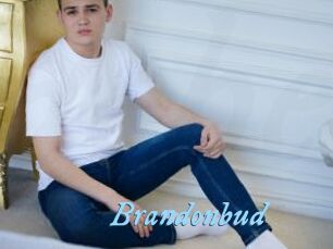 Brandonbud