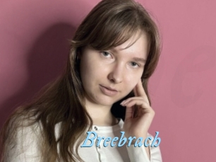 Breebrach