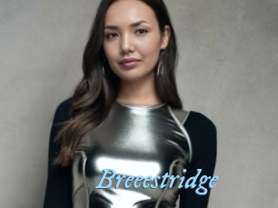 Breeestridge
