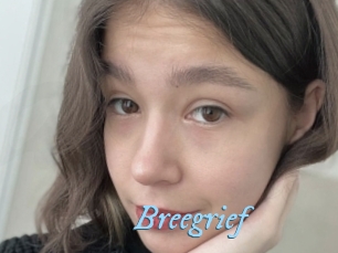 Breegrief