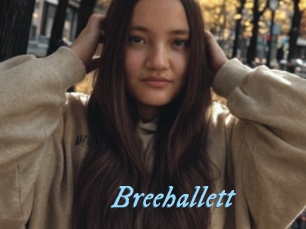 Breehallett