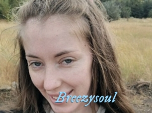 Breezysoul