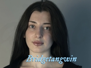 Bridgetangwin