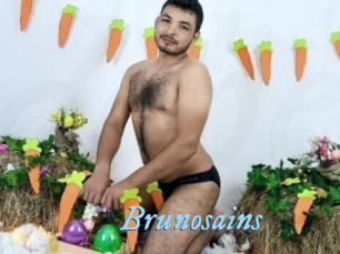 brunosains DeriheruI