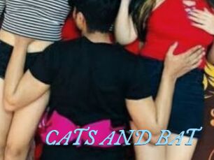 CATS_AND_BAT