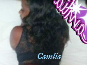 Camlia