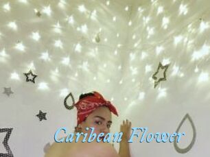 Caribean_Flower