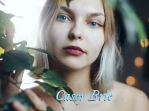 Casey_Brie DeriheruI