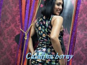 Catalina_horny