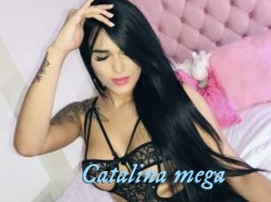 Catalina_mega
