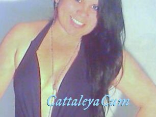 CattaleyaCum