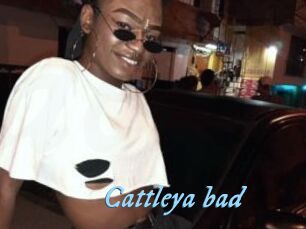 Cattleya_bad