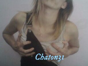 Chaton31