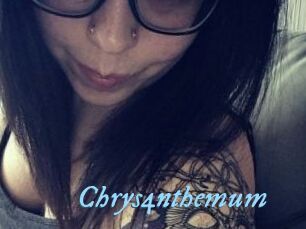 Chrys4nthemum