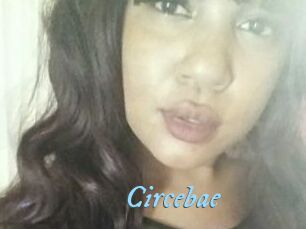 Circebae
